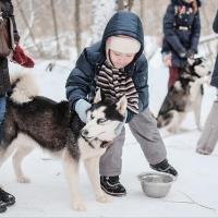 Питомник хаски в Подмосковье