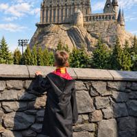 Парк Юниверсал (Universal Studios) в Пекине