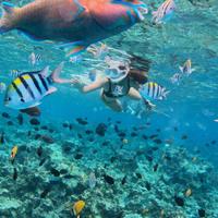 Снорклинг на Занзибаре