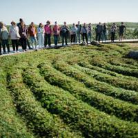 Каменный лабиринт на Соловках