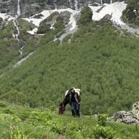 Софийские водопады