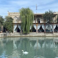 Ансамбль Ляби-Хауз в Бухаре