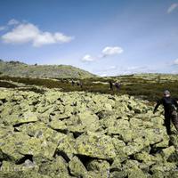 Восхождение на гору Ослянка