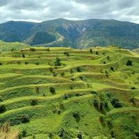 Чохские террасы