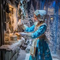 Терем Снегурочки в Костроме