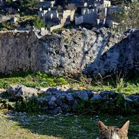 Заброшенная деревня Каякёй