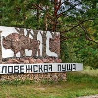 Беловежская пуща