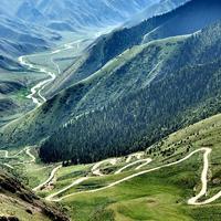 Перевал 33 попугая