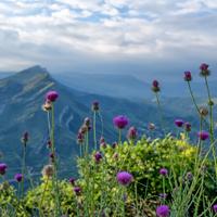 Кавказские горы