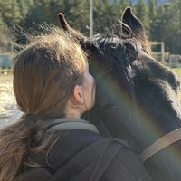 Конная экскурсия