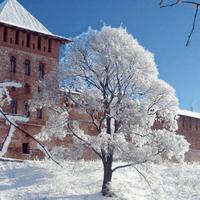 Новгородский кремль