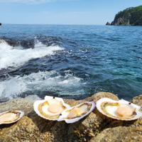 Мореферма во Владивостоке