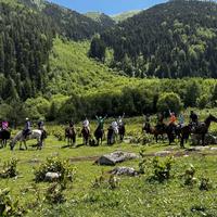 Конная экскурсия