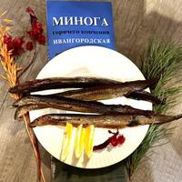 Нарвская минога