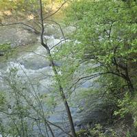 Тур в Грузию