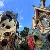 Отель «Сумасшедший дом»