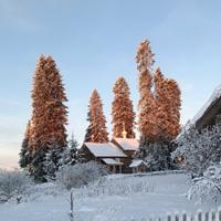 Деревня Кинерма