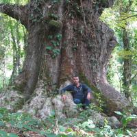 Прогулка с друидом