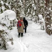 Карелия зимой