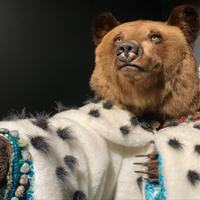 Музей пермских древностей