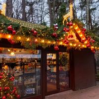 Новогодний тур в Светлогорск