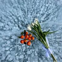 Лед Байкала с метановыми пузырьками