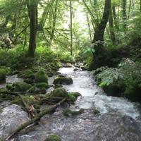 Треккинг в долине реки Шахэ