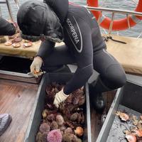 Морская прогулка по Баренцеву морю