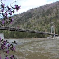 Мост на Бирюзовую