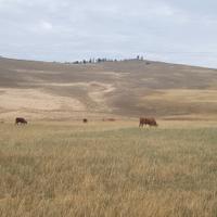 Остров Ольхон