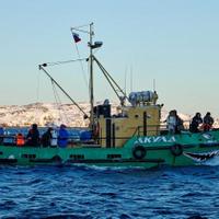 морская прогулка Териберка