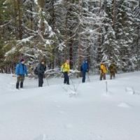 Лыжная прогулка в Тверской области