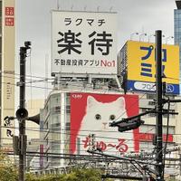 Тур в Японию