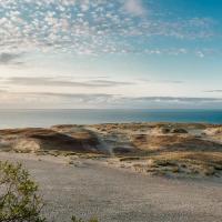 Куршская коса