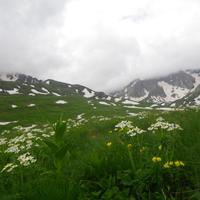 плато Лаго-Наки