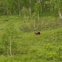 Природный парк «Налычево»