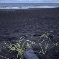 Халактырский пляж