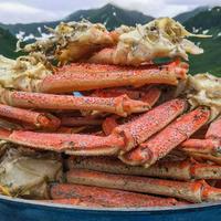 Камчатский краб