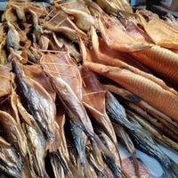 Байкальский омуль