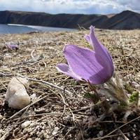 Джип-тур по Байкалу