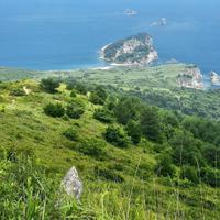 Полуостров Гамова