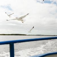 Переход по Белому морю на Соловки