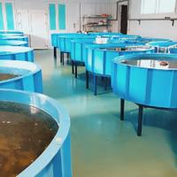 Осетровая ферма ДоброFish в Добрянке