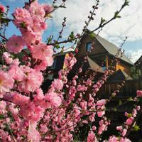 Тур на Алтай