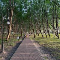 Парк им. Мориса Беккера