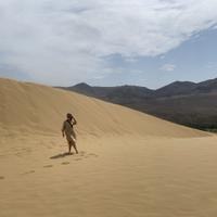 Бархан Сарыкум