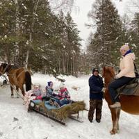 Конно-санная прогулка на озеро Галамит