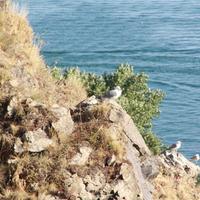 Озеро Севан