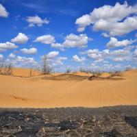 Пустыня Кызылкум