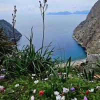 Долина бабочек в Турции